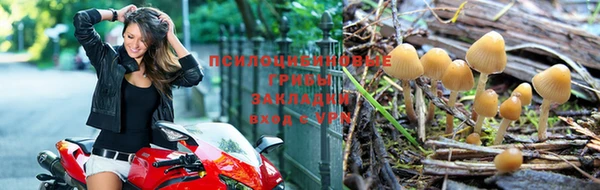 соль курить ск Арсеньев